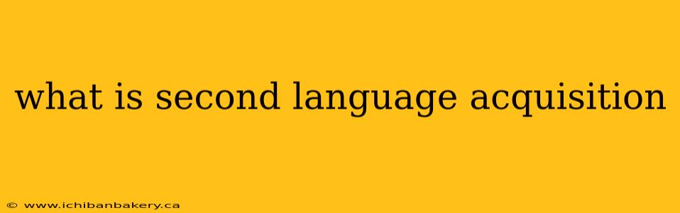 what is second language acquisition