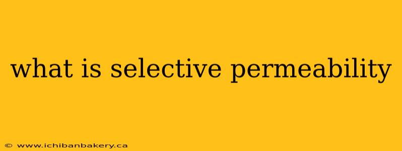 what is selective permeability