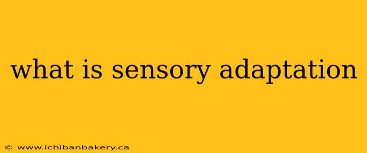 what is sensory adaptation