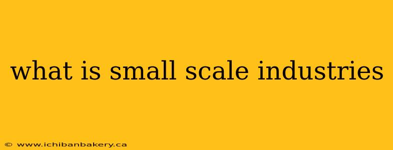 what is small scale industries