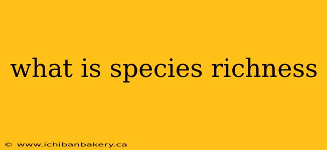 what is species richness