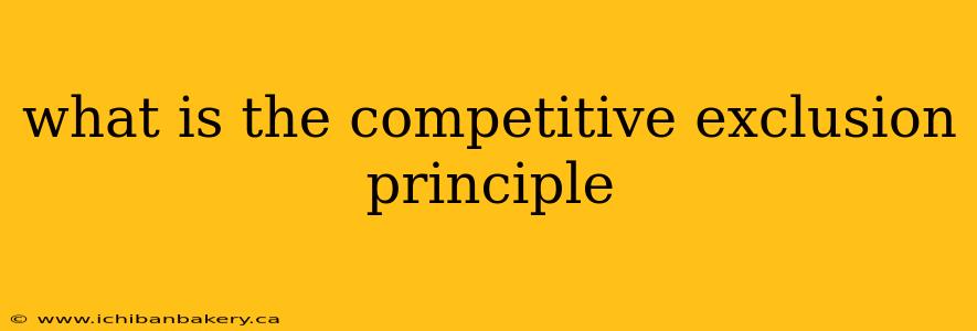 what is the competitive exclusion principle