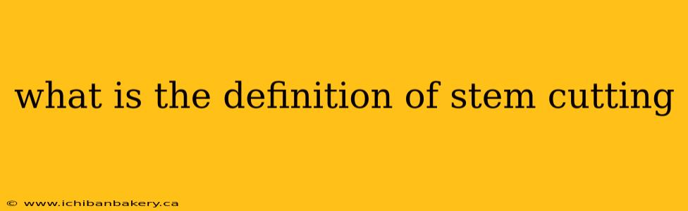 what is the definition of stem cutting
