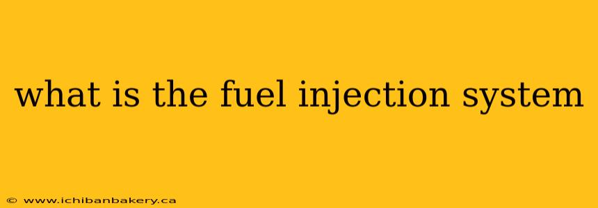what is the fuel injection system