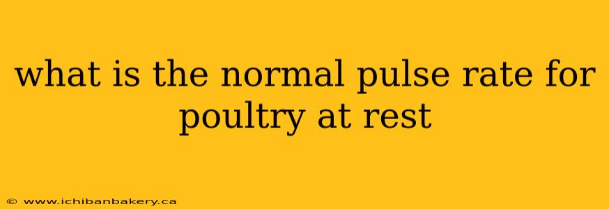 what is the normal pulse rate for poultry at rest