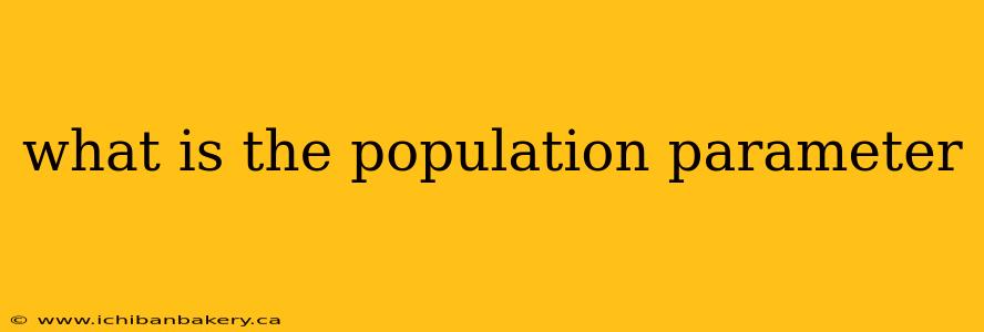 what is the population parameter