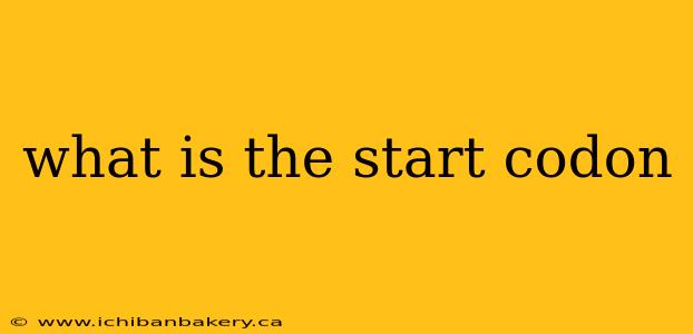 what is the start codon