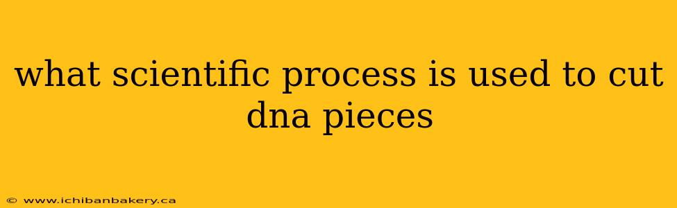 what scientific process is used to cut dna pieces