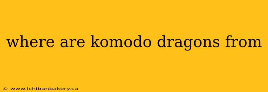 where are komodo dragons from