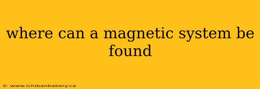 where can a magnetic system be found
