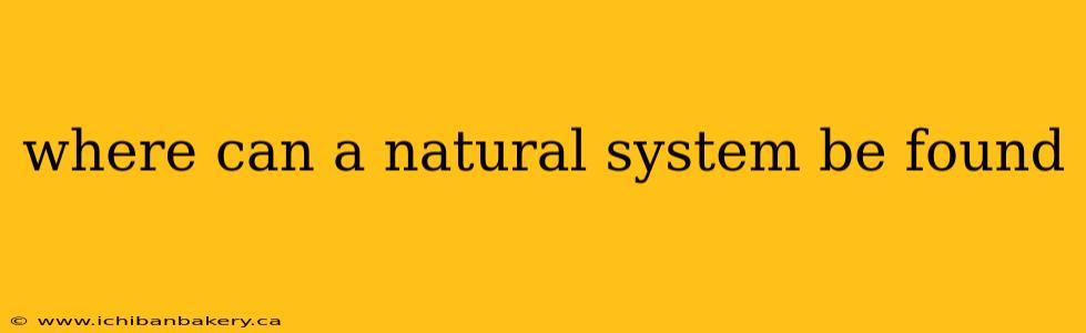 where can a natural system be found