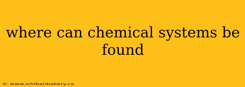 where can chemical systems be found