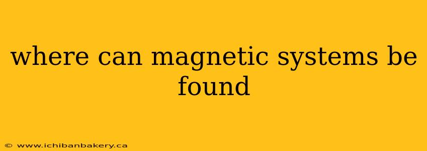 where can magnetic systems be found