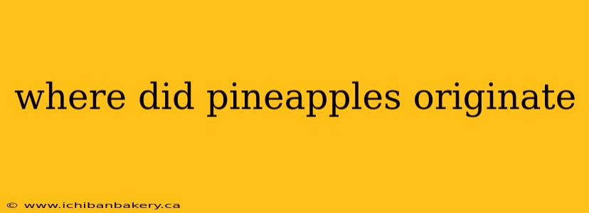 where did pineapples originate