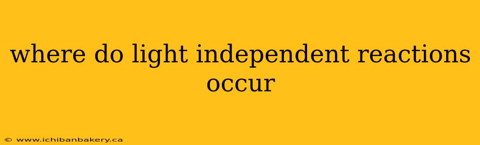 where do light independent reactions occur