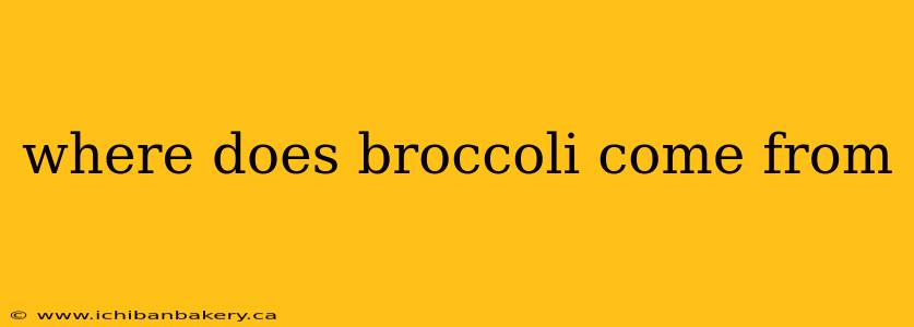 where does broccoli come from