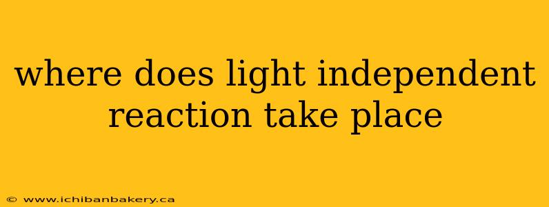 where does light independent reaction take place