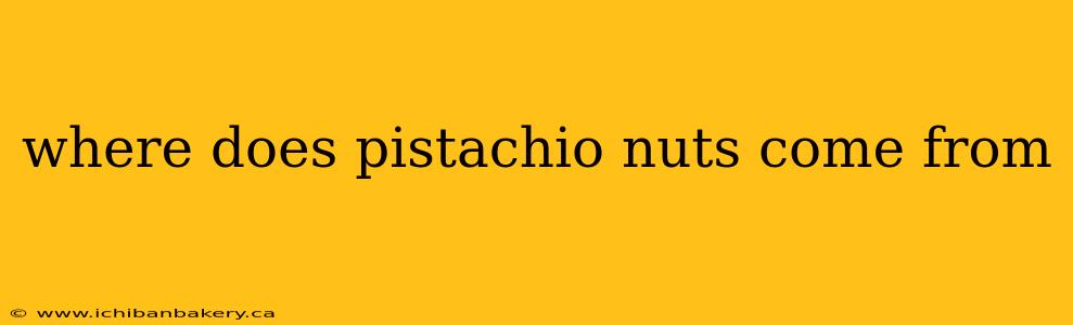where does pistachio nuts come from