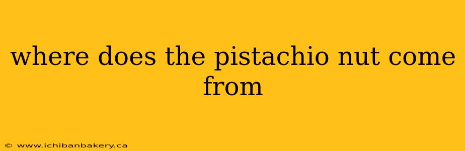 where does the pistachio nut come from