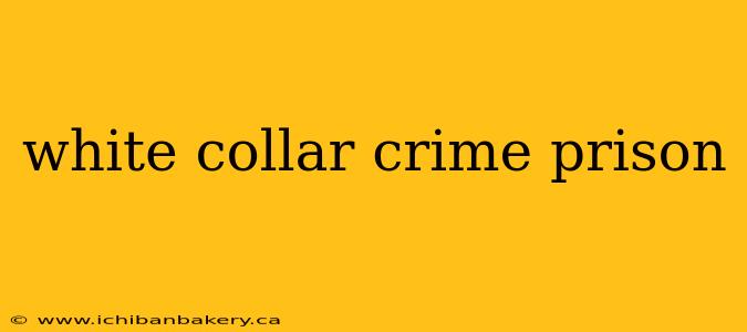 white collar crime prison