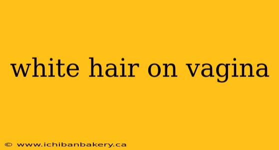 white hair on vagina