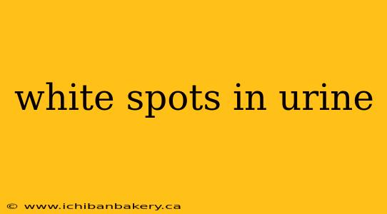 white spots in urine