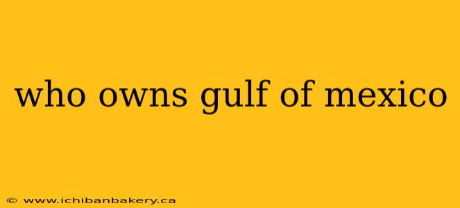 who owns gulf of mexico