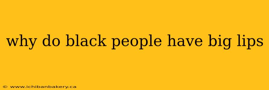 why do black people have big lips