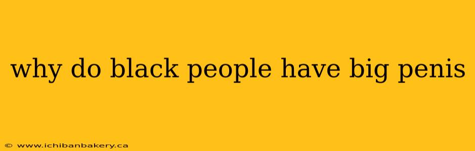 why do black people have big penis