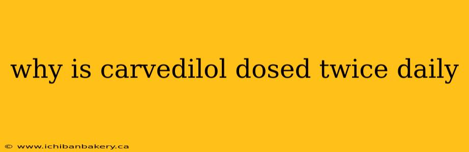 why is carvedilol dosed twice daily