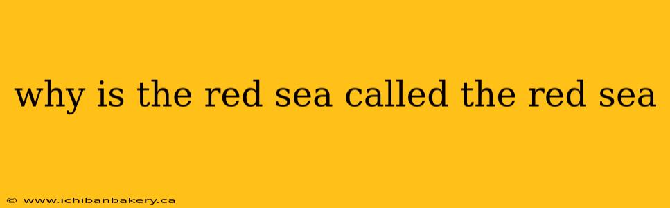 why is the red sea called the red sea