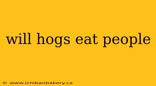 will hogs eat people
