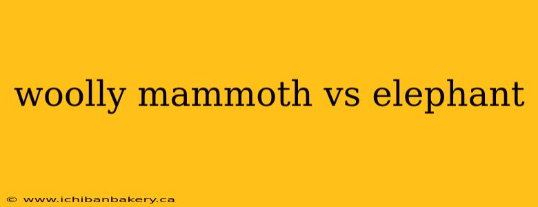woolly mammoth vs elephant