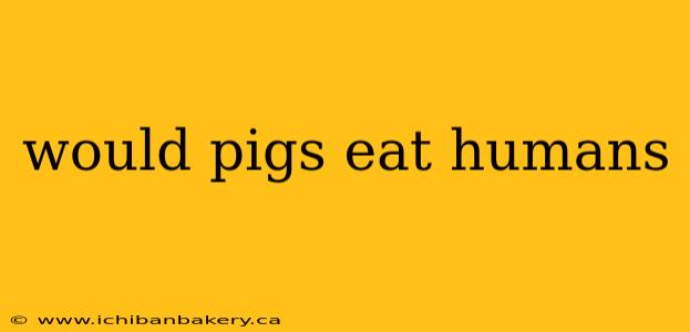 would pigs eat humans