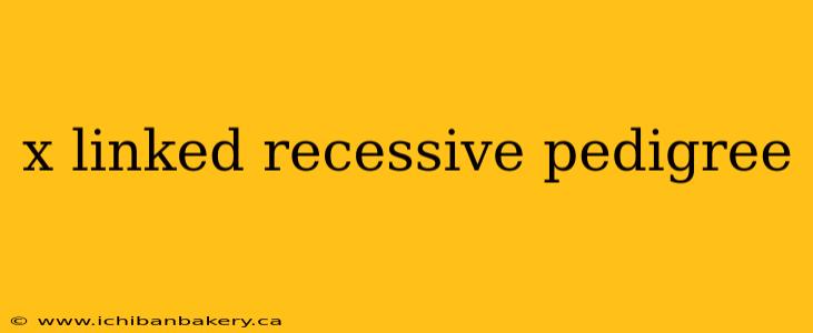x linked recessive pedigree