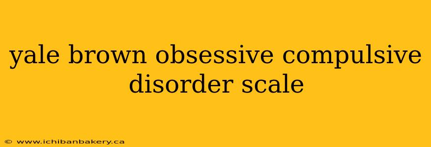 yale brown obsessive compulsive disorder scale