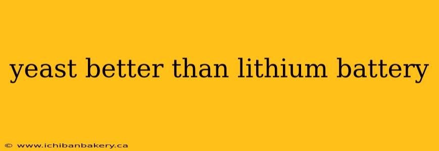 yeast better than lithium battery